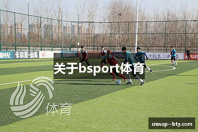 关于bsport体育